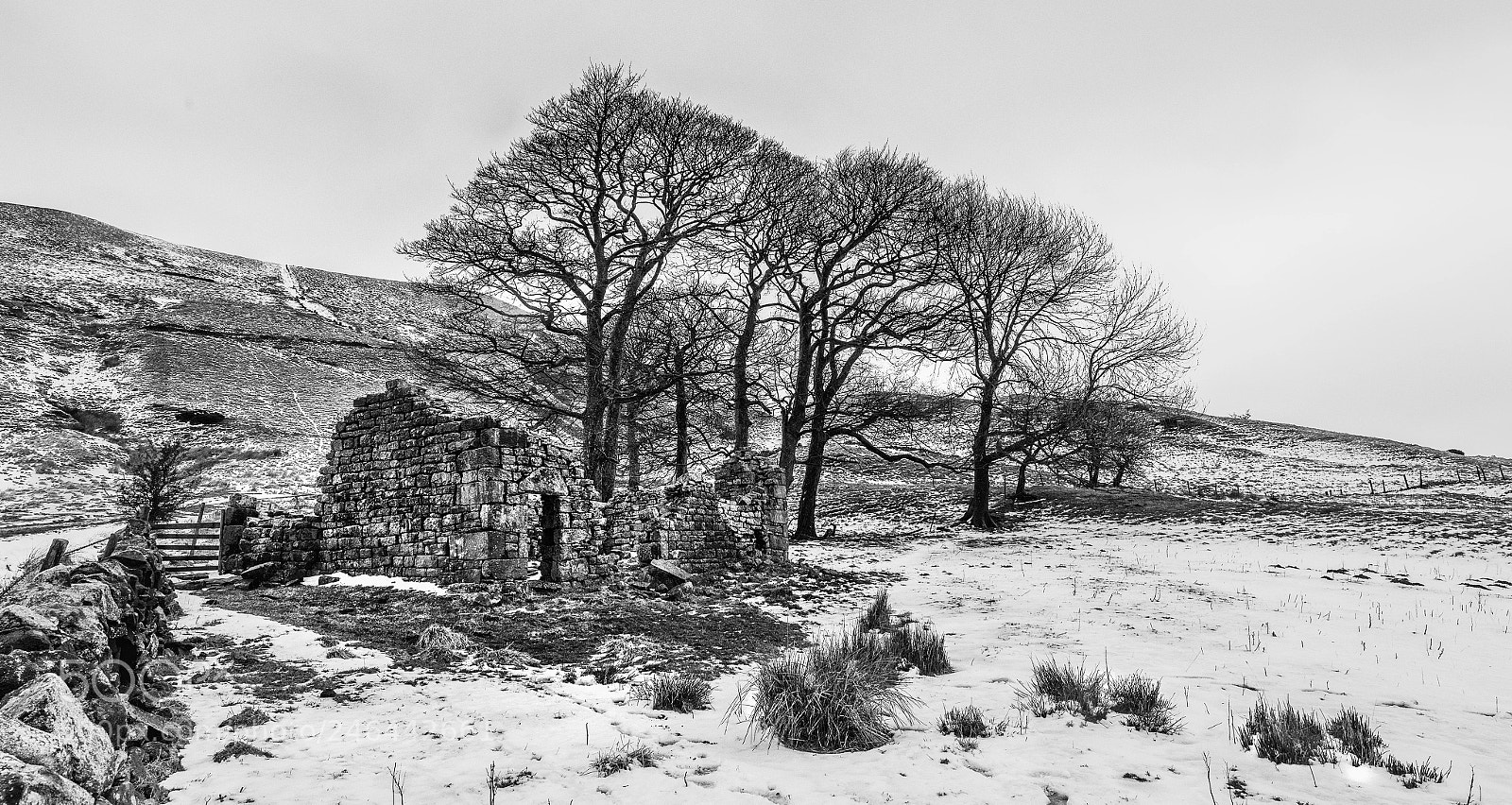 Nikon D810 sample photo. Back to the wild photography