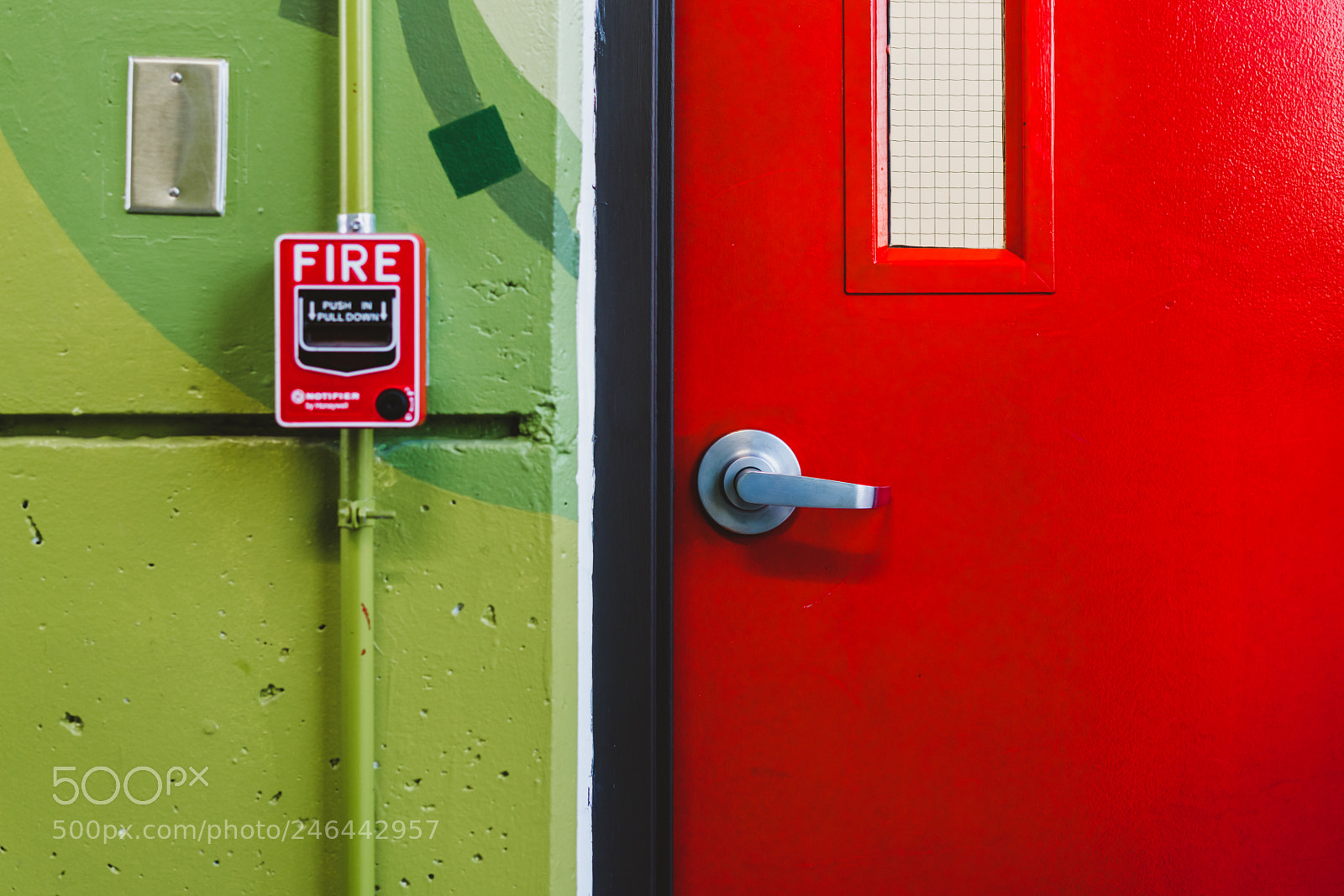 Sony a7R II sample photo. The greens and the photography
