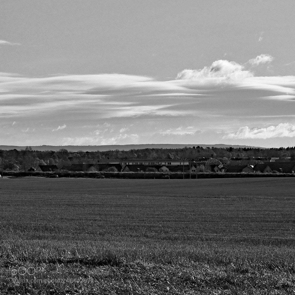 Nikon D500 sample photo. Landscape photography