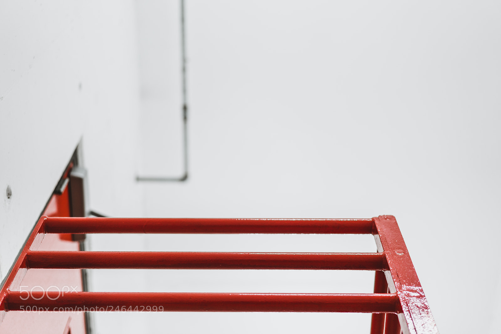 Sony a7R II sample photo. Upwards photography