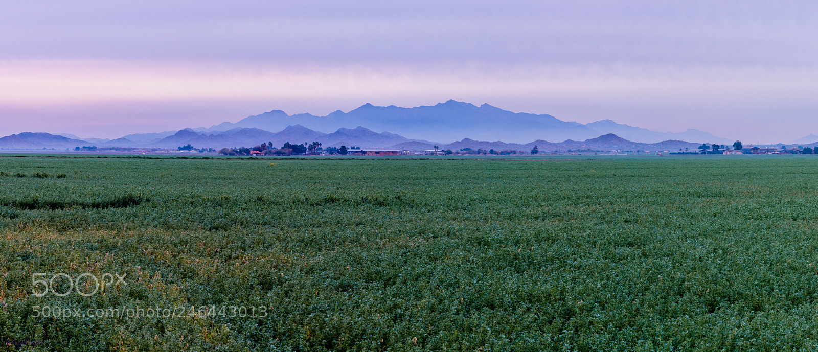 Nikon D5600 sample photo. Haze on estrella mtn 0959 photography