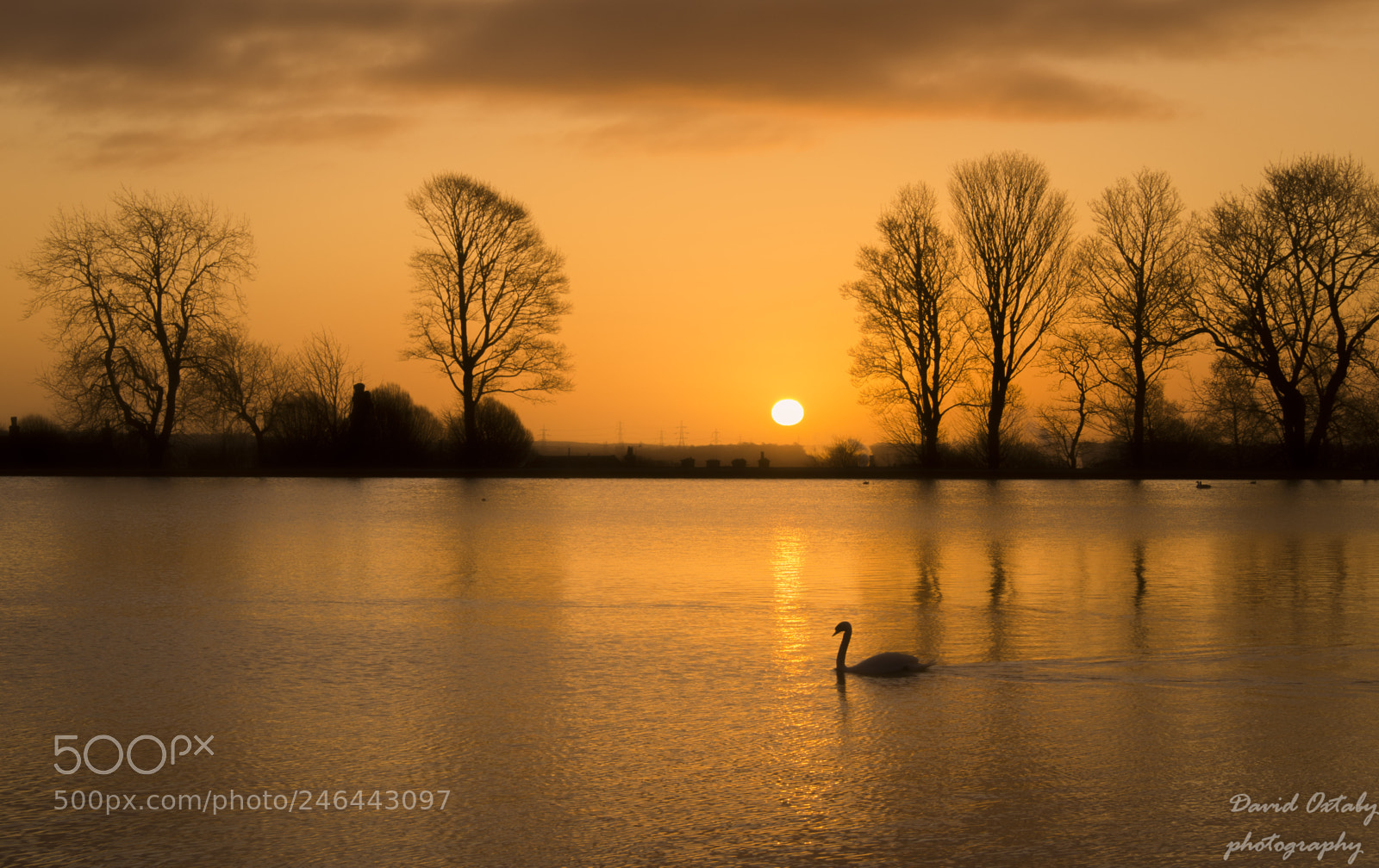 Olympus OM-D E-M10 II sample photo. Swan lake at dawn photography