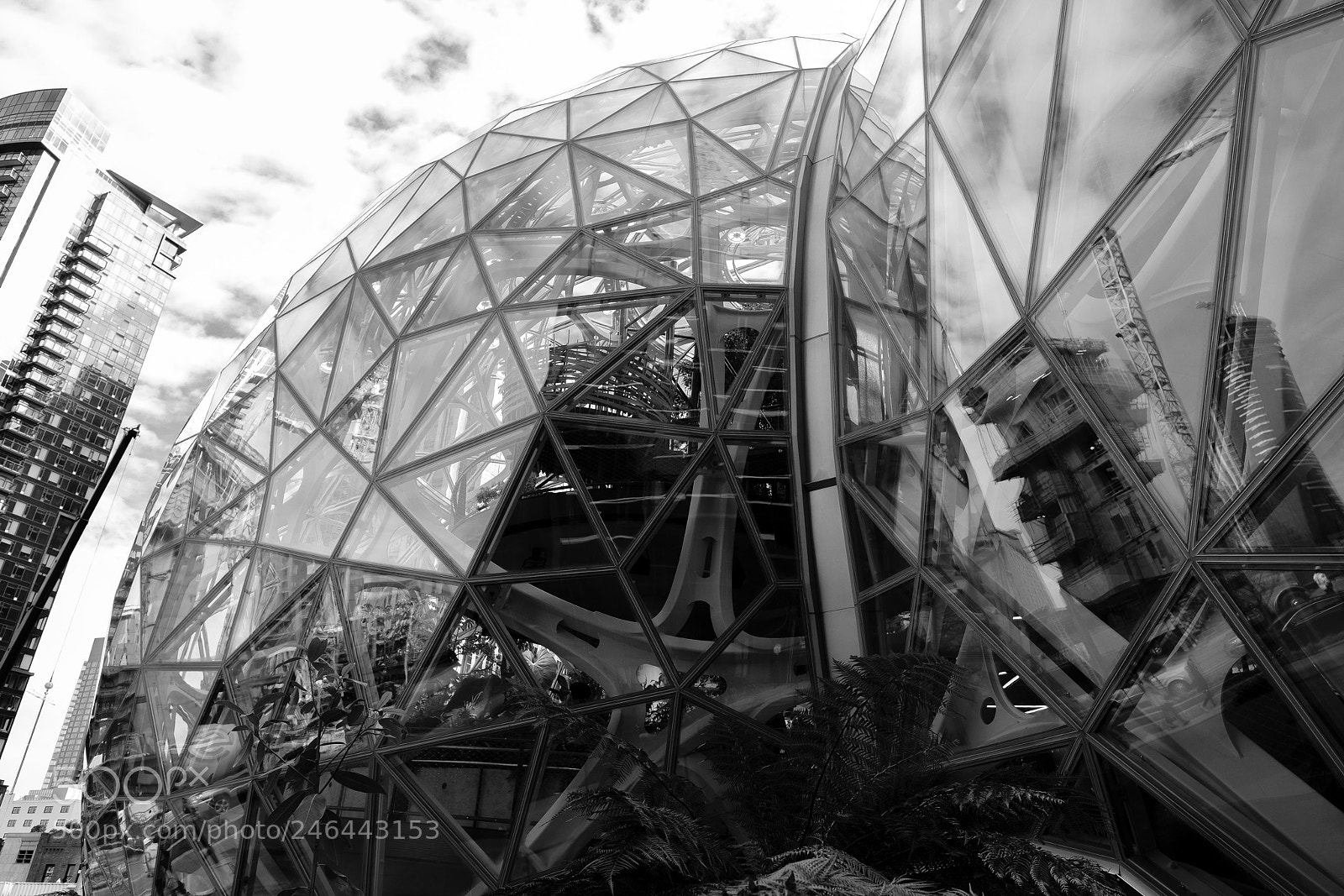 Fujifilm X-T2 sample photo. Amazon spheres photography