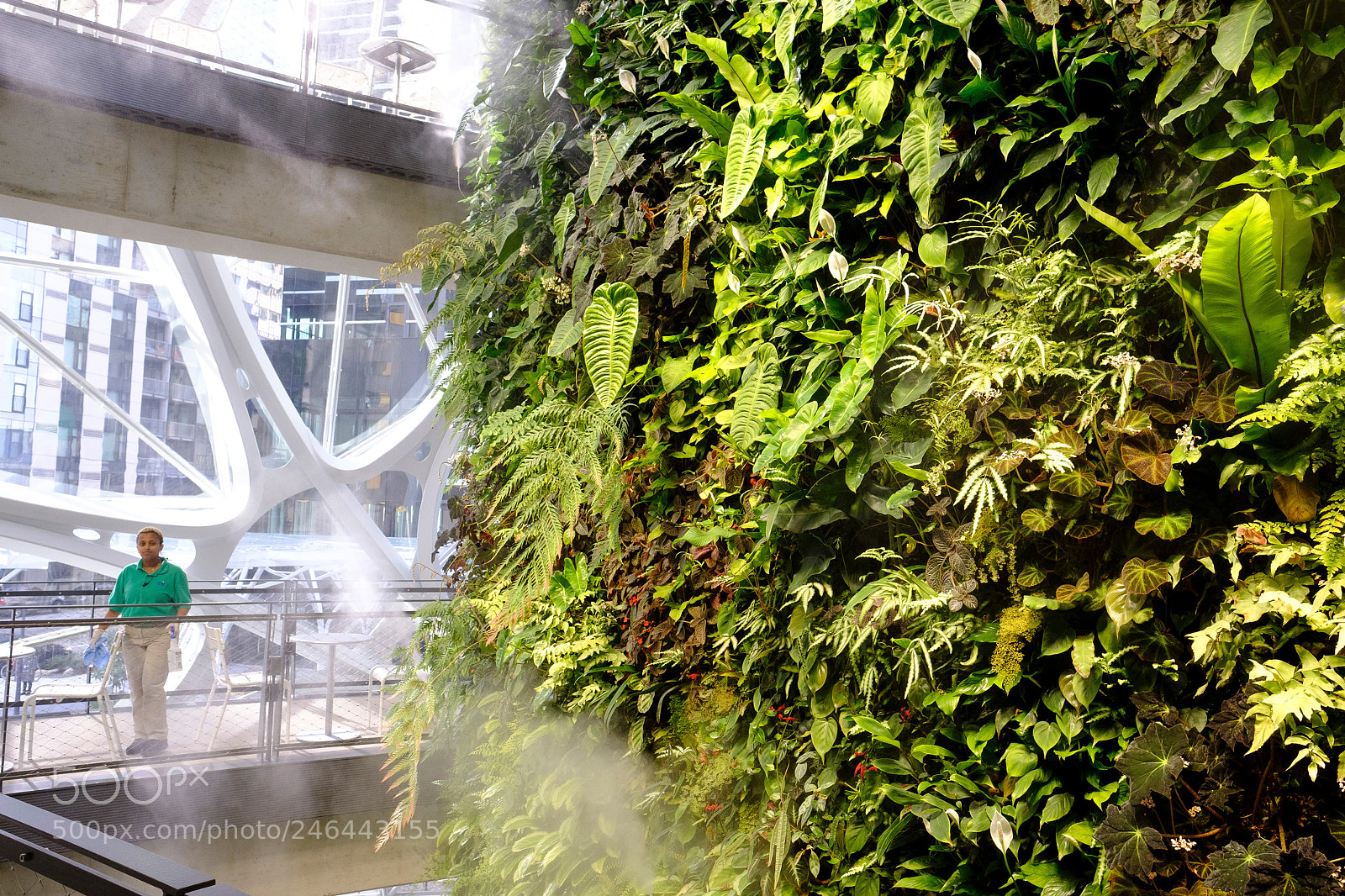 Fujifilm X-T2 sample photo. Amazon spheres photography