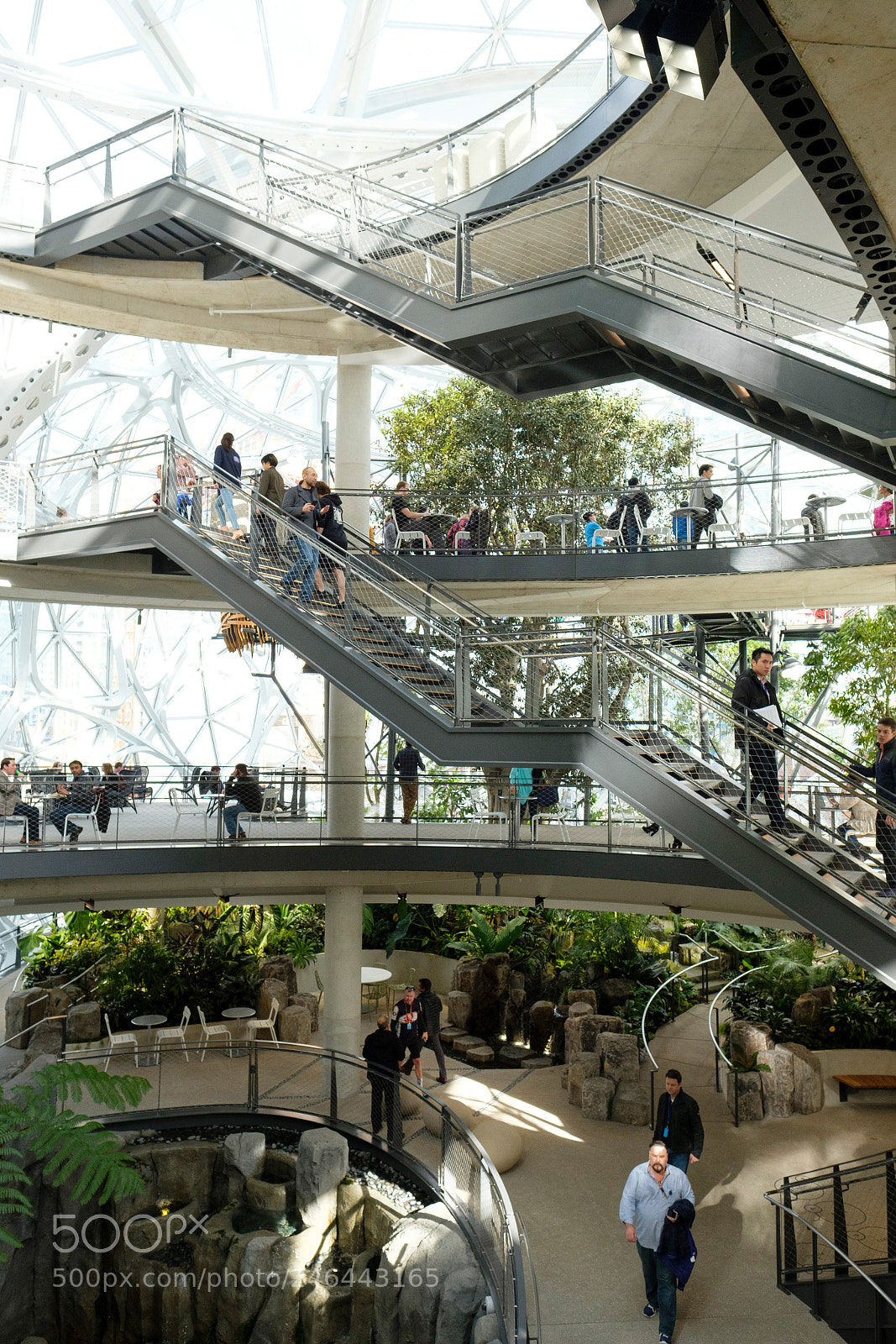 Fujifilm X-T2 sample photo. Amazon spheres photography