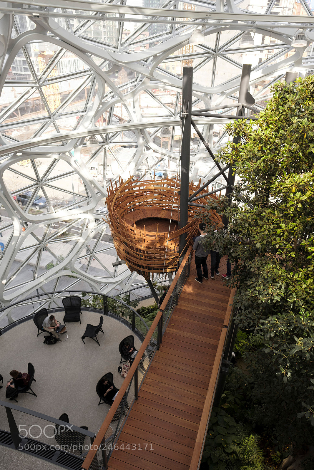 Fujifilm X-T2 sample photo. Amazon spheres photography