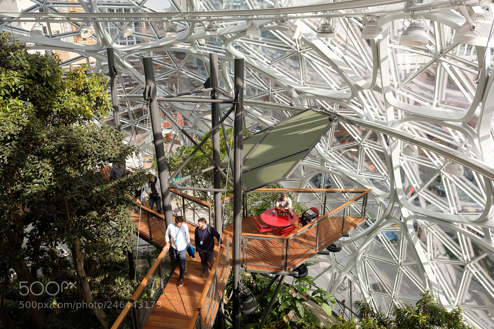 Fujifilm X-T2 sample photo. Amazon spheres photography
