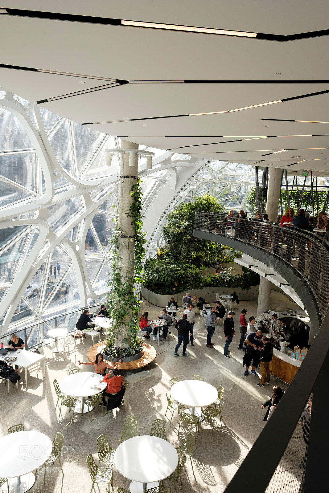 Fujifilm X-T2 sample photo. Amazon spheres photography