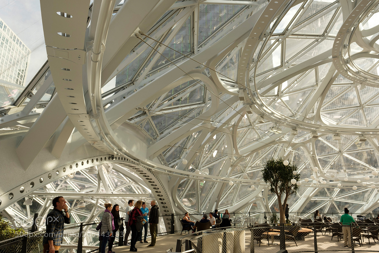 Fujifilm X-T2 sample photo. Amazon spheres photography