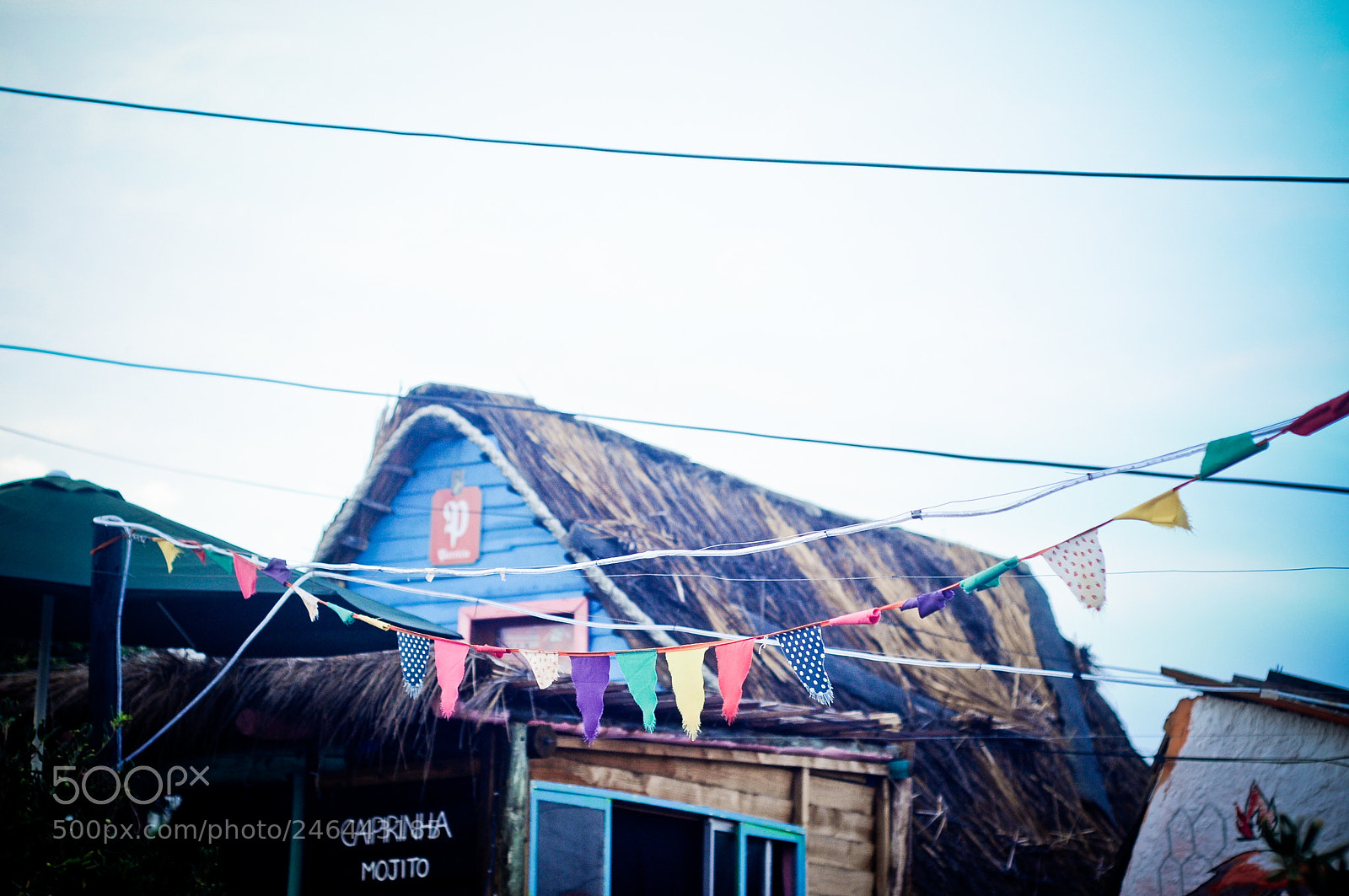 Nikon D90 sample photo. Banderines photography