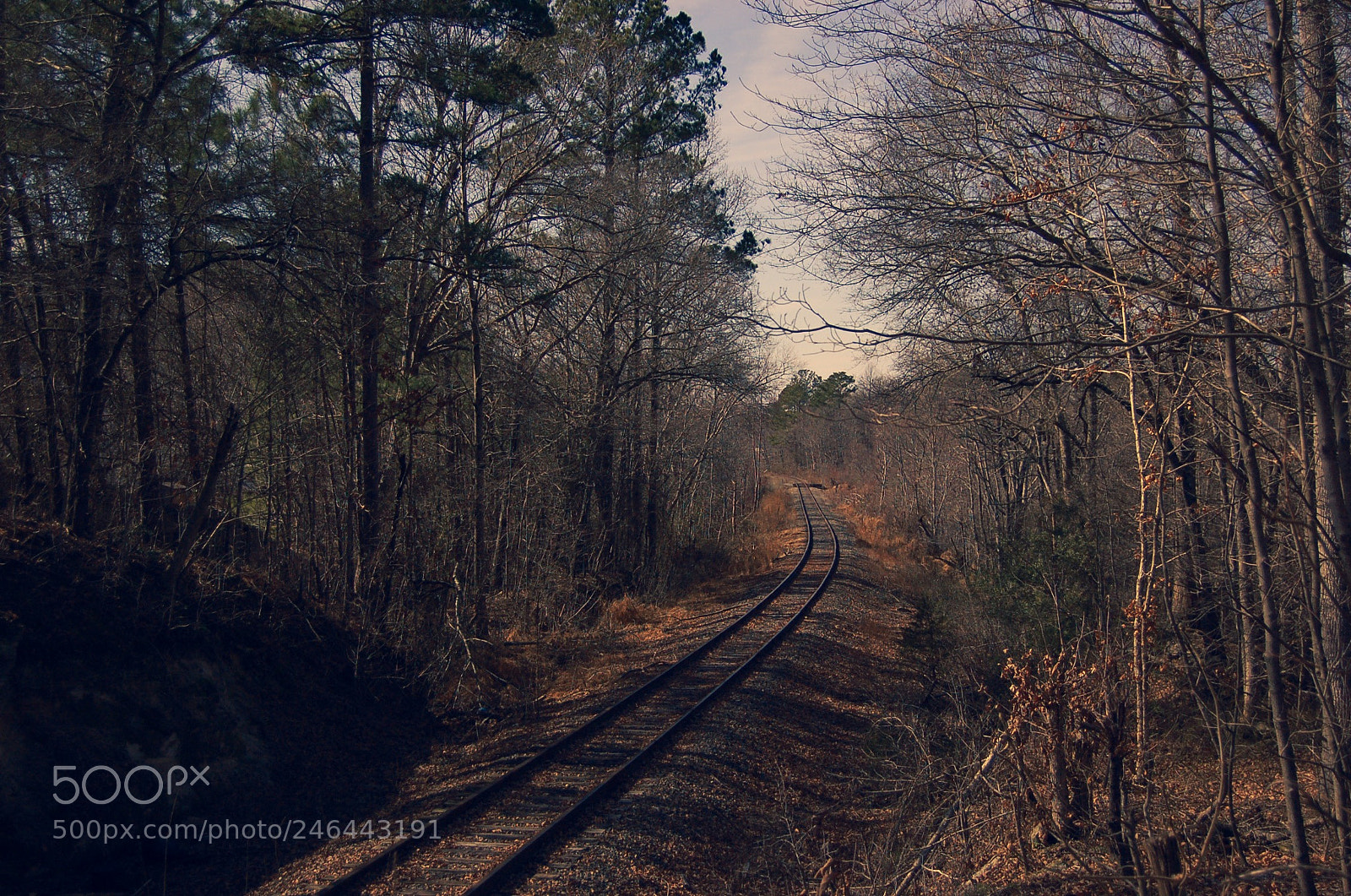 Nikon D50 sample photo. Untitled photography