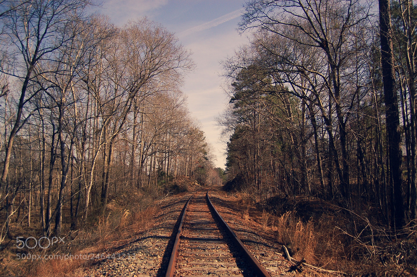 Nikon D50 sample photo. Untitled photography