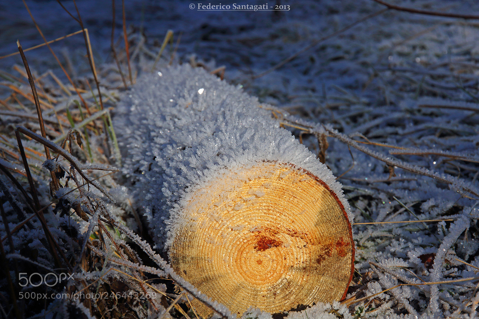 Canon EOS 7D sample photo. Galaverna photography