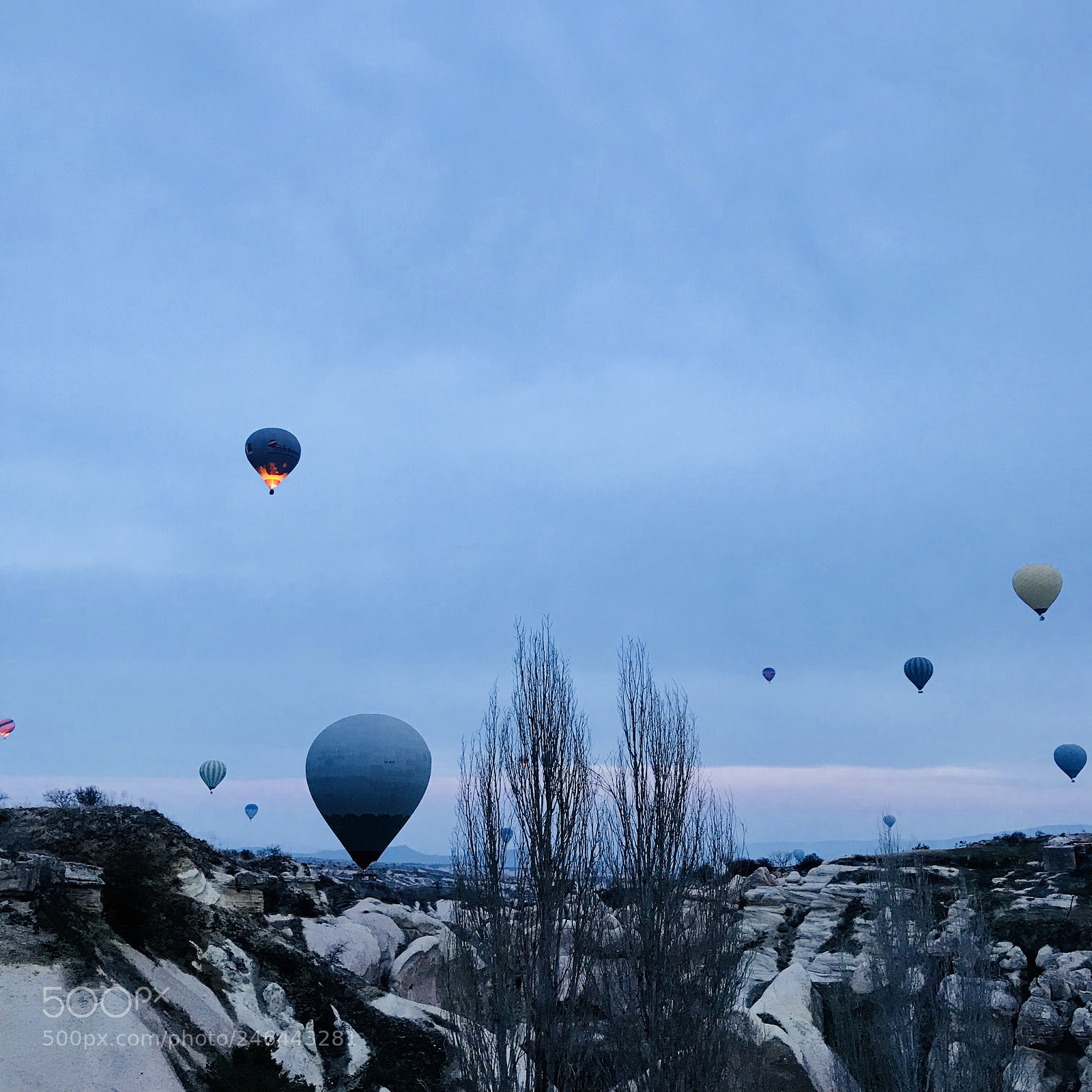 Apple iPhone 7 Plus sample photo. Hot air balloons photography