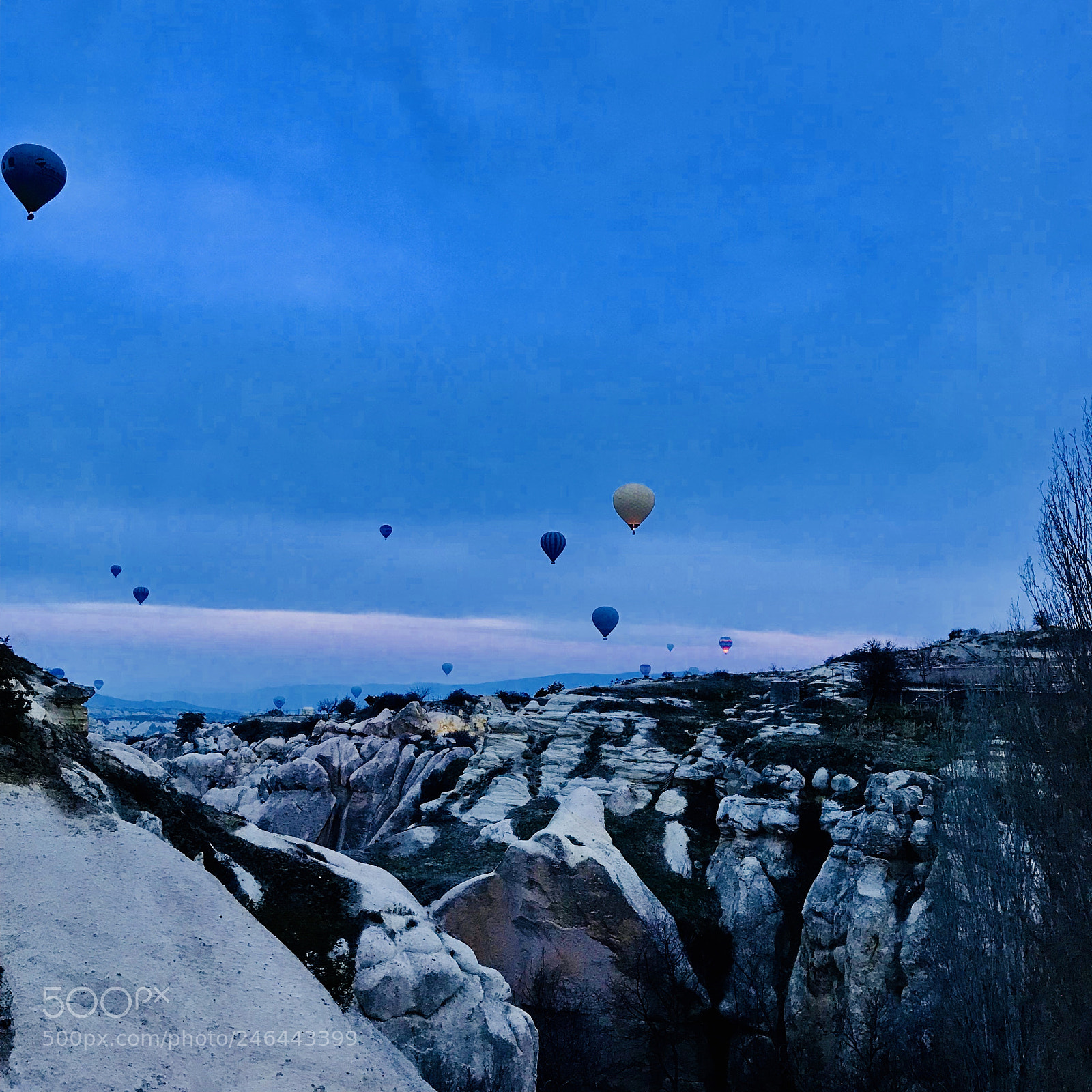 Apple iPhone 7 Plus sample photo. Balloons photography