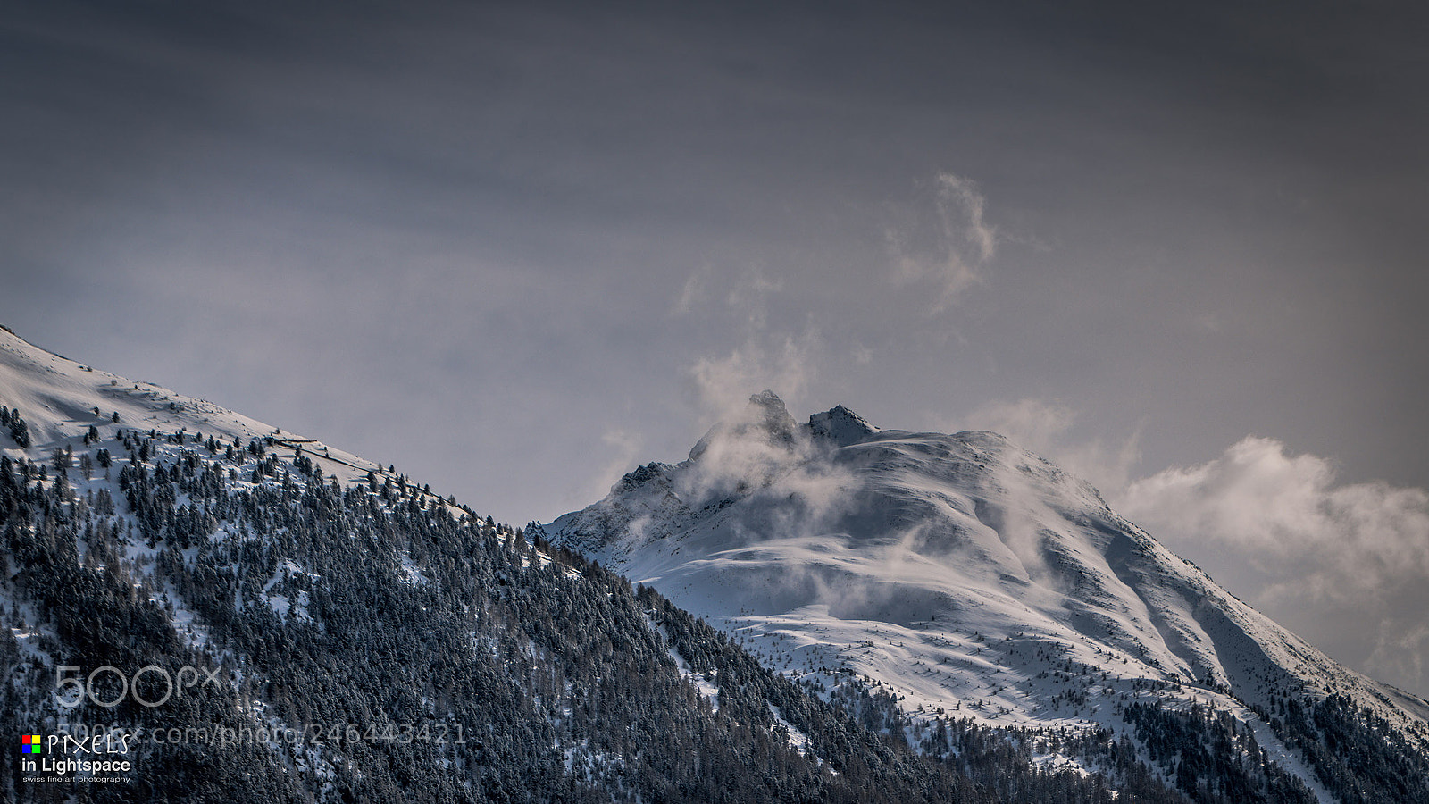 Nikon D850 sample photo. Piz what? photography