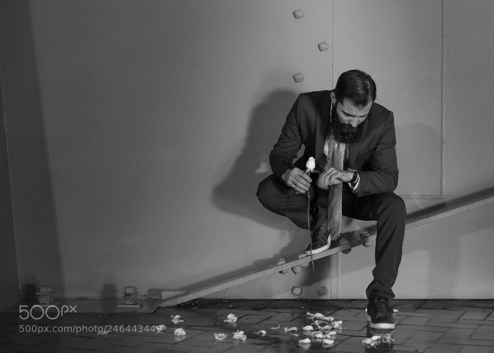 Canon EOS 5DS R sample photo. Untitled photography