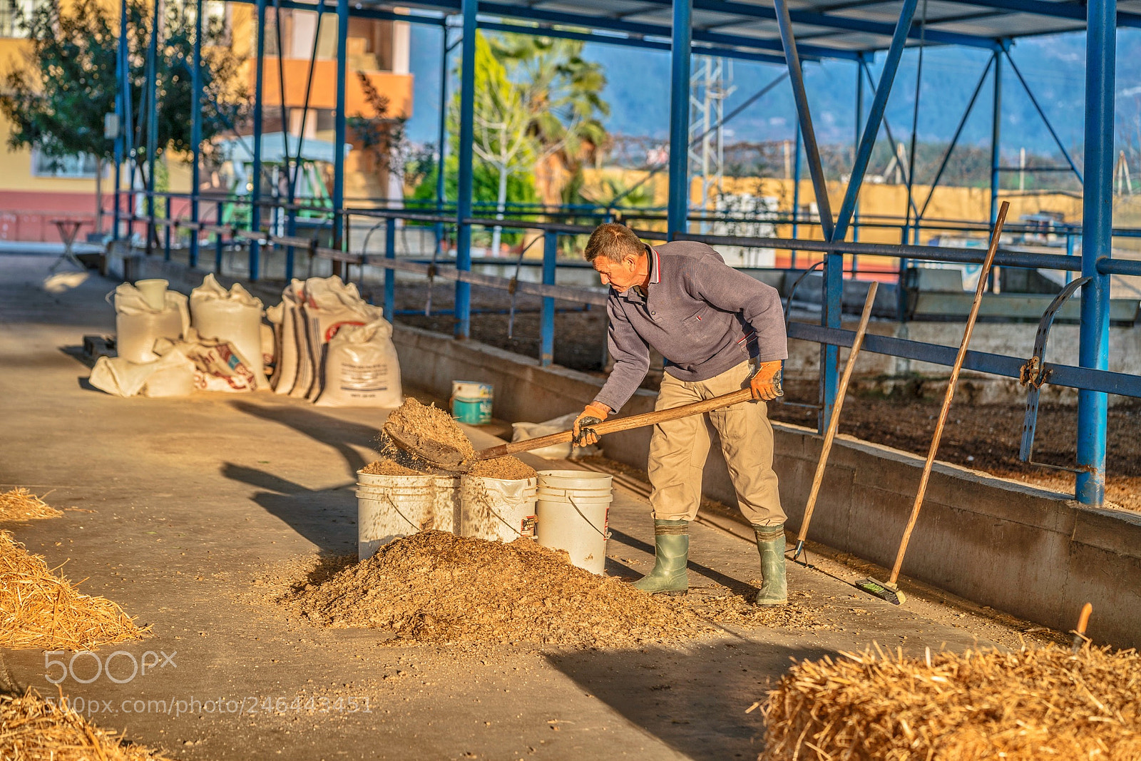 Sony a7R II sample photo. Animal feed photography
