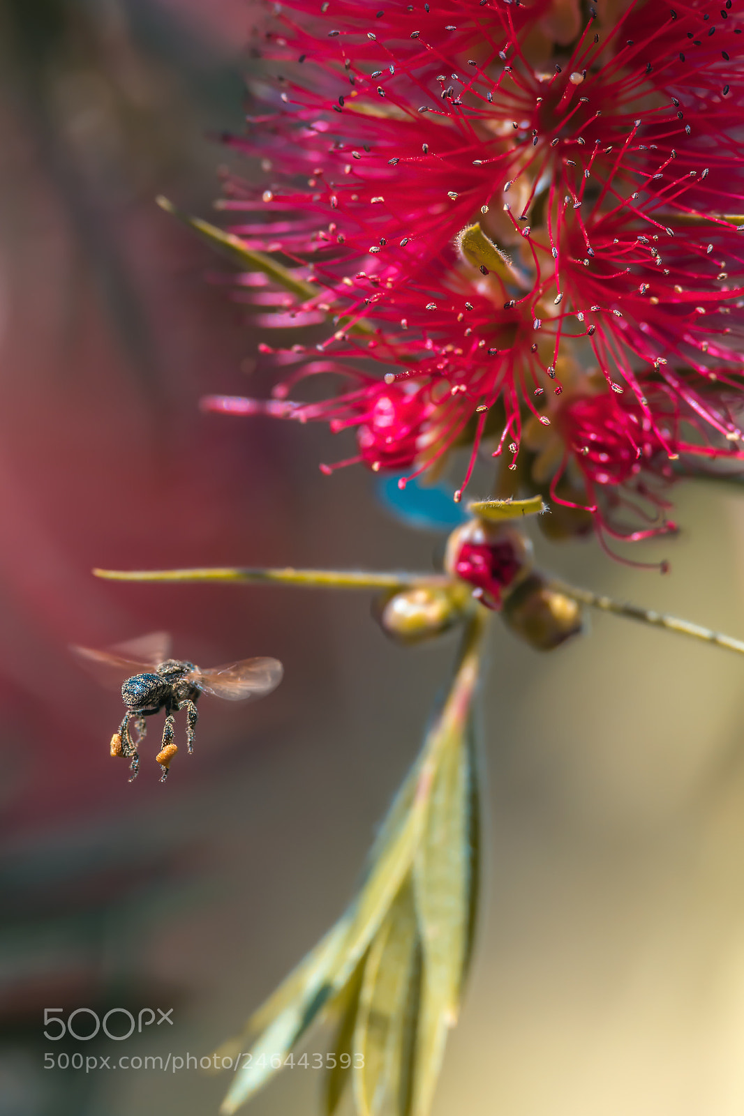 Nikon D500 sample photo. Arriving photography