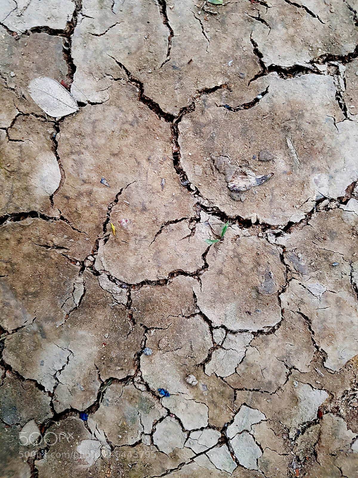 Samsung Galaxy S7 sample photo. Cracked ground photography