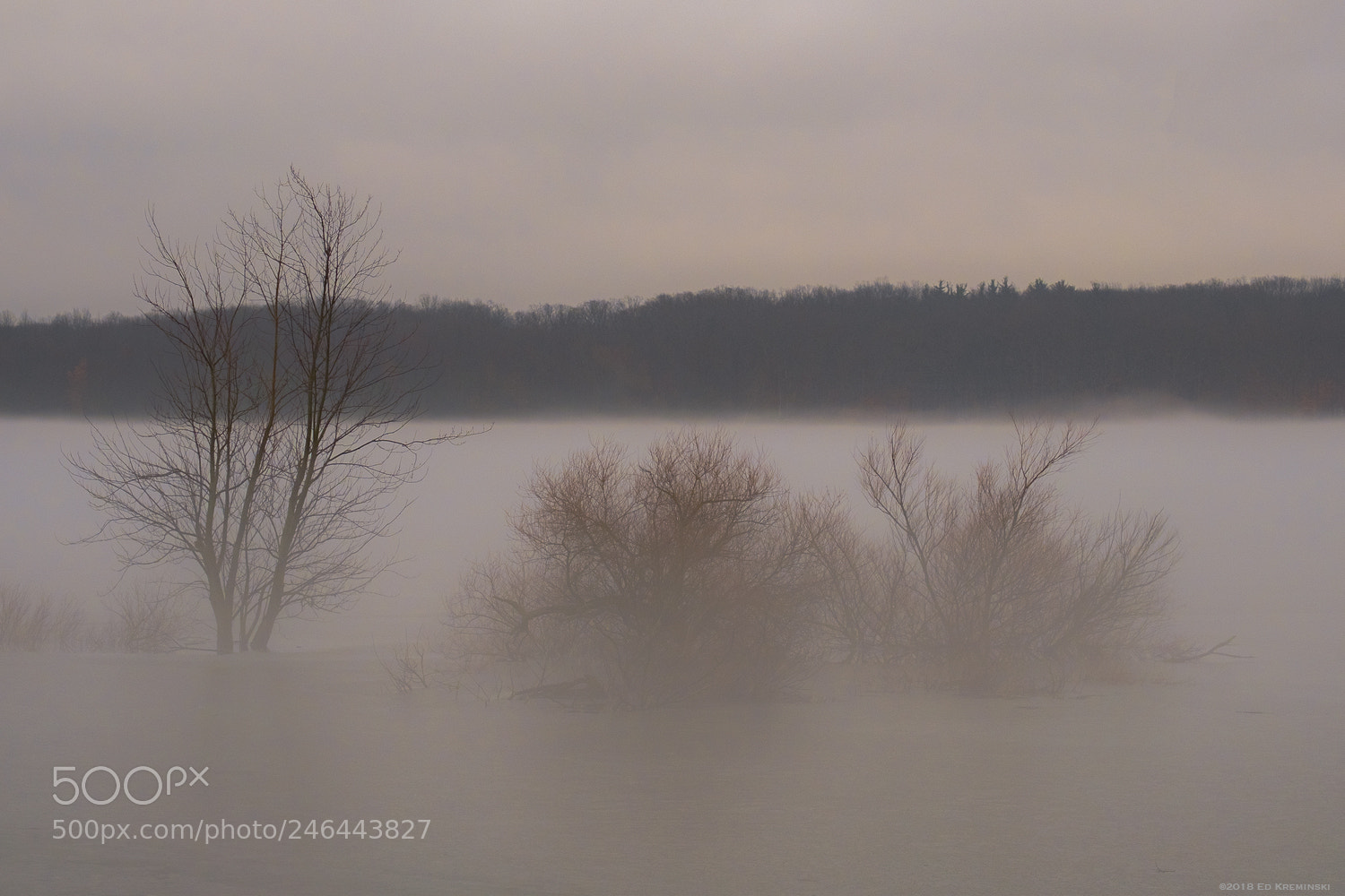 Fujifilm X-T2 sample photo. Ice fog thaw photography