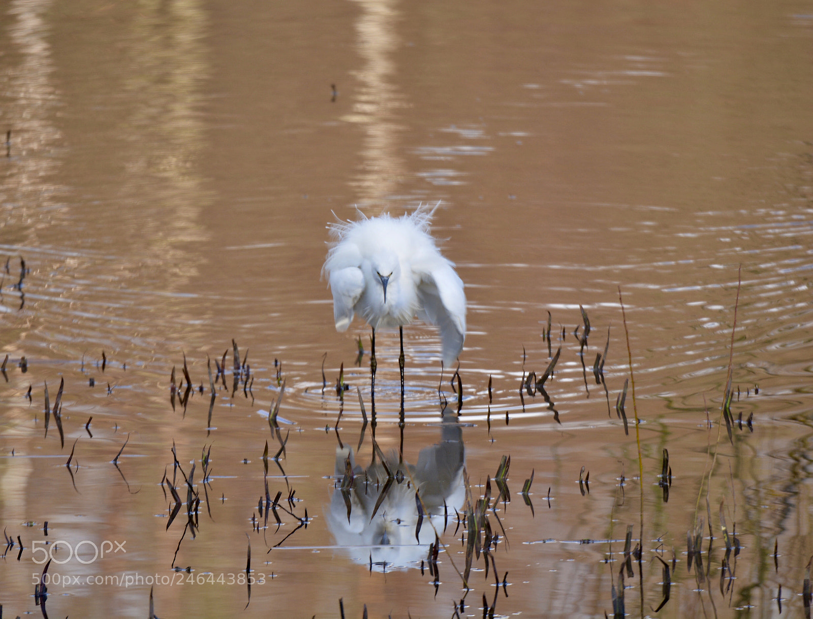 Nikon D7100 sample photo. Untitled photography