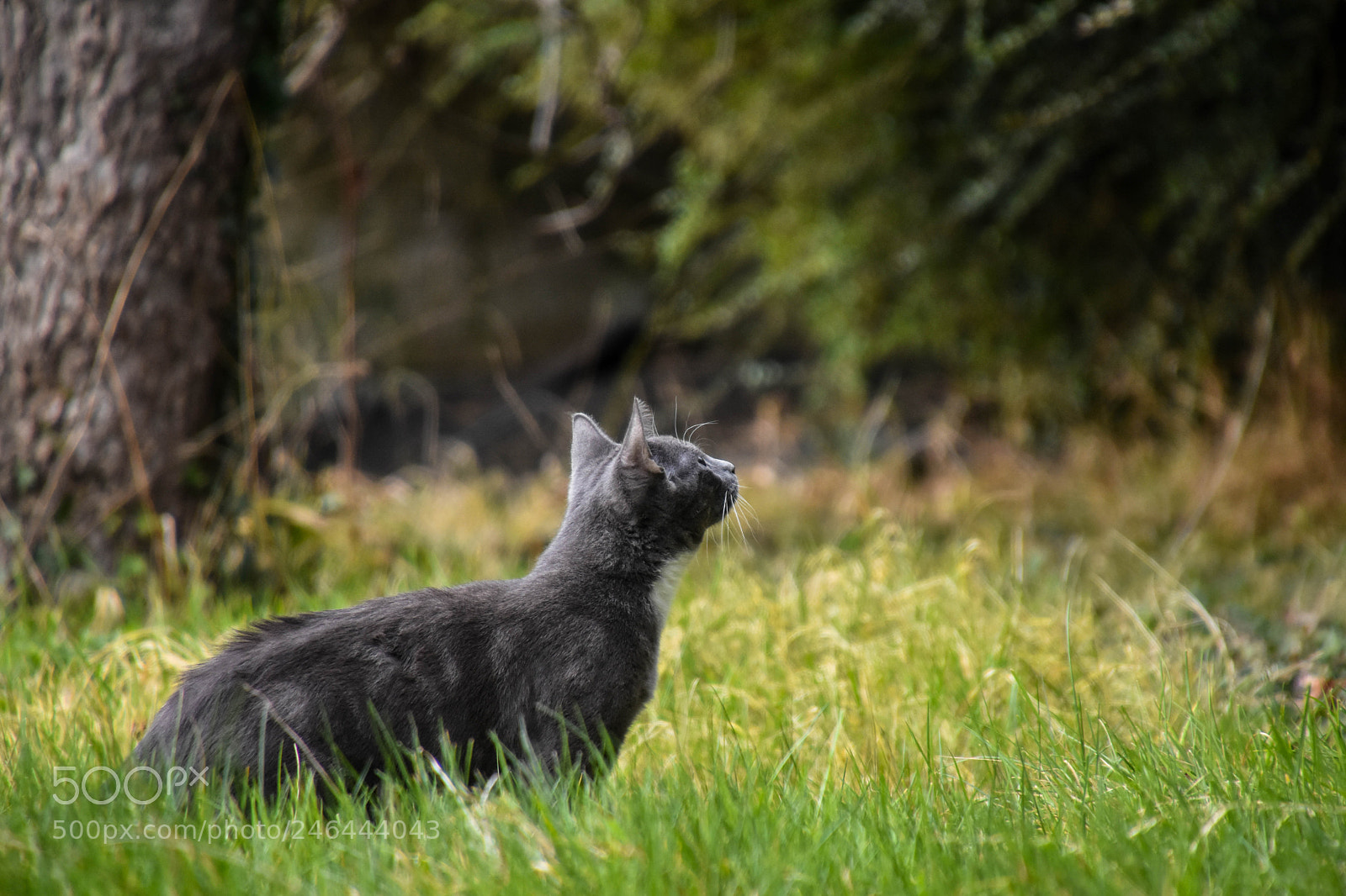 Nikon D7200 sample photo. Inspection..... photography
