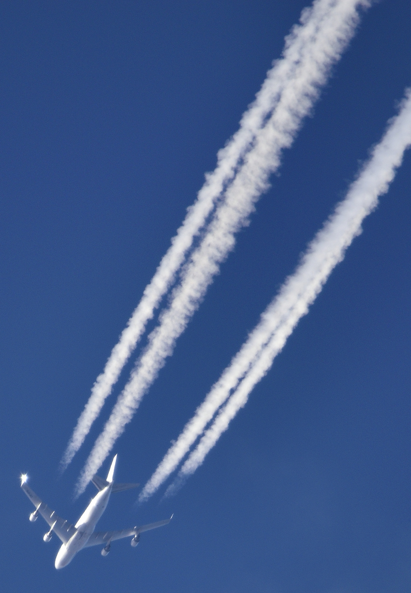 Sigma 150-600mm F5-6.3 DG OS HSM | C sample photo. Airplane photography