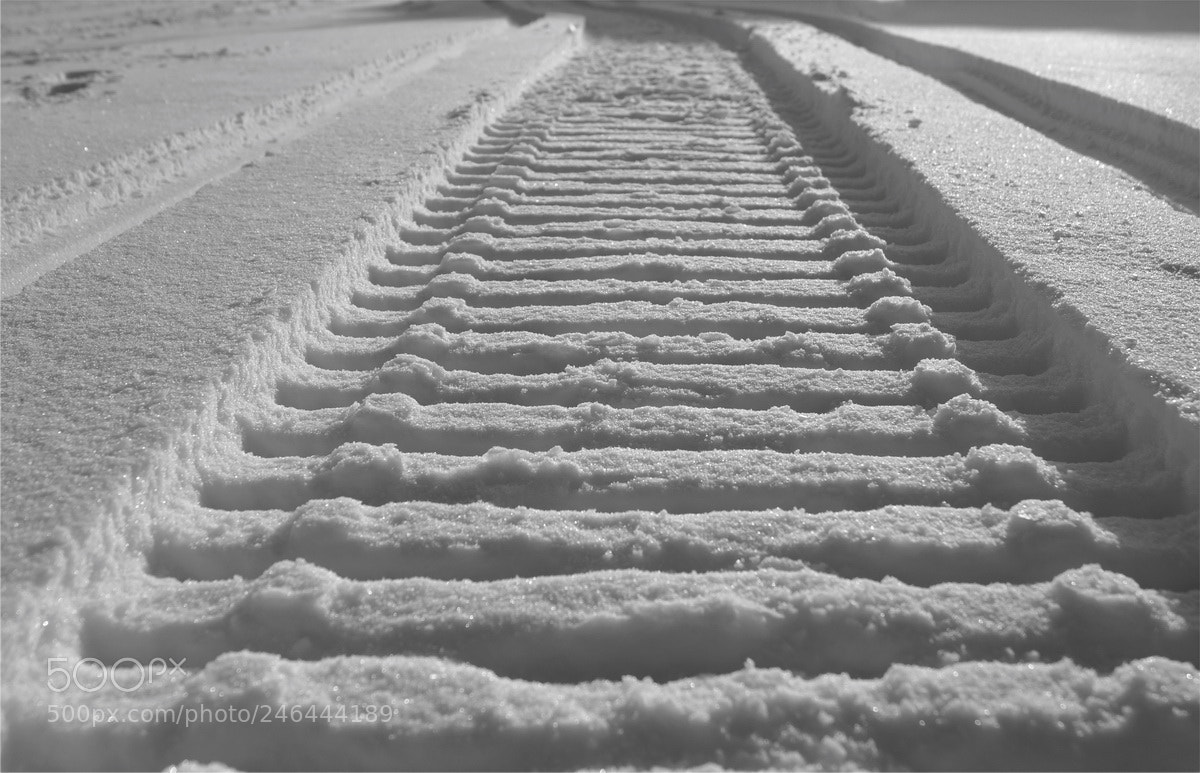 Sony SLT-A58 sample photo. Snow rails photography