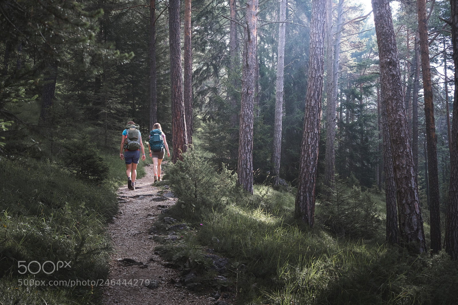 Fujifilm X-Pro2 sample photo. Hike photography