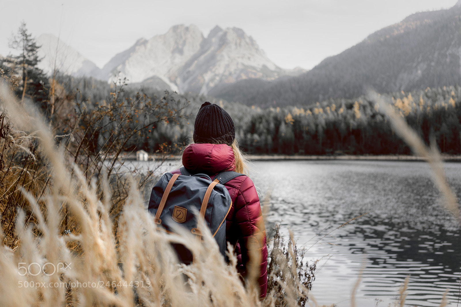 Sony a7 II sample photo. Autumn photography
