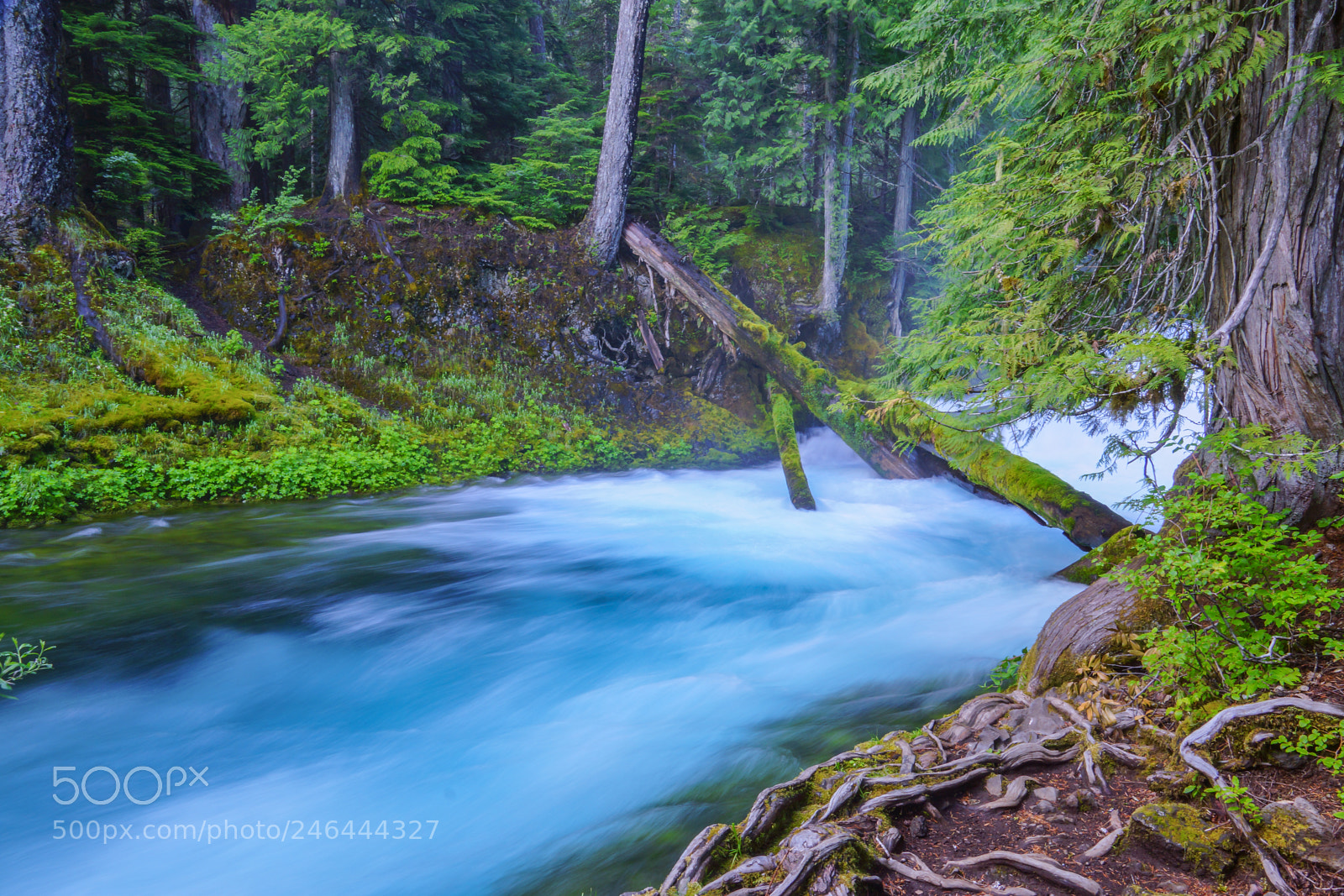 Sony SLT-A77 sample photo. Glacial rush photography