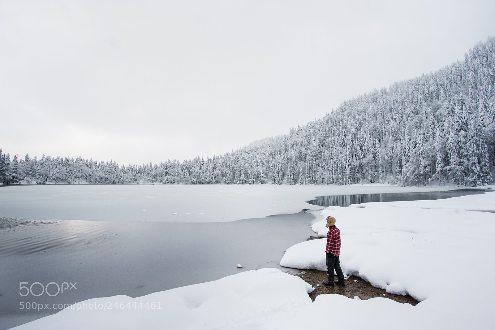 Sony a7 II sample photo. Winter photography