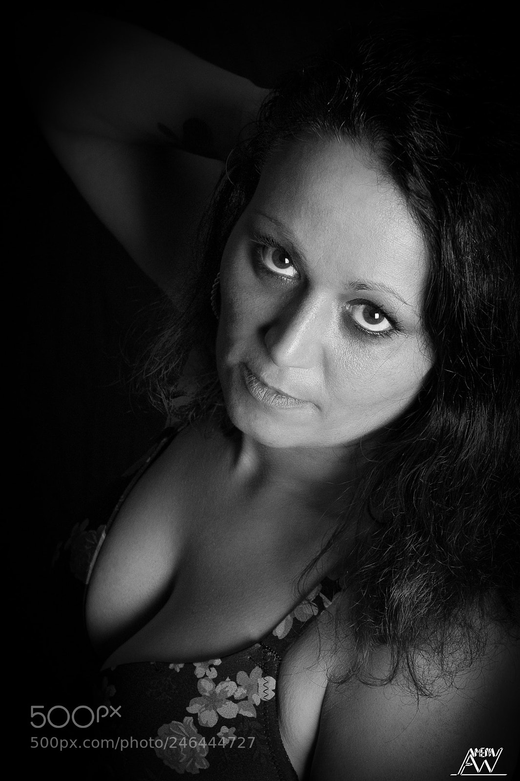 Nikon D3 sample photo. Untitled photography