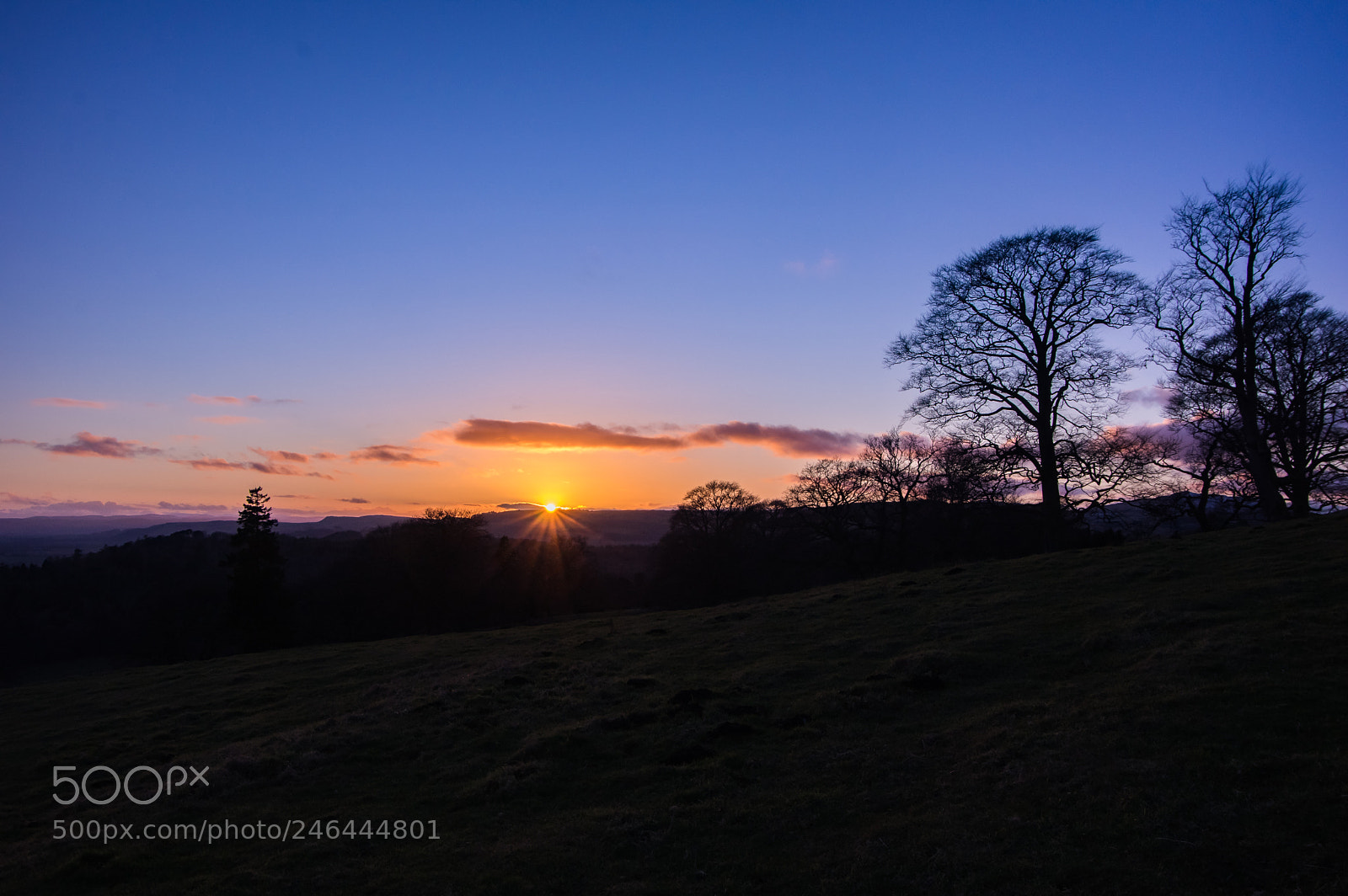 Pentax K-3 sample photo. Efforts sunset photography