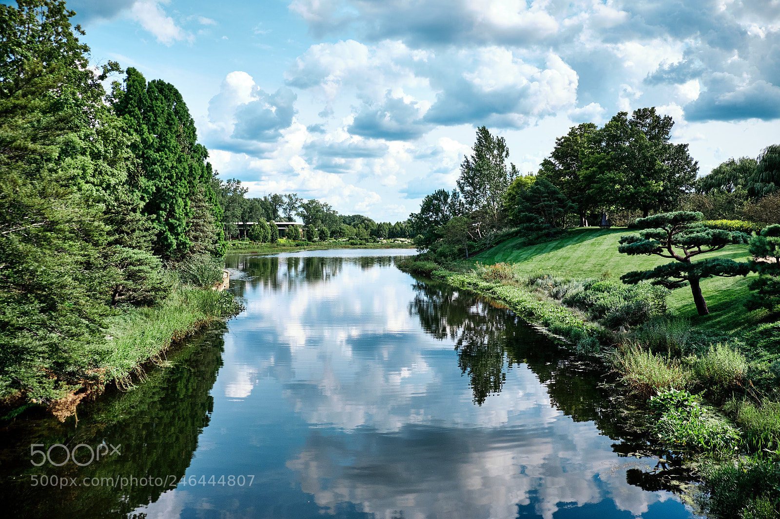 Fujifilm X-T1 sample photo. Sunny pond photography