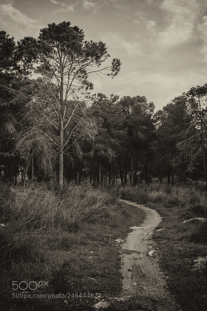 Canon EOS 7D sample photo. Untitled photography
