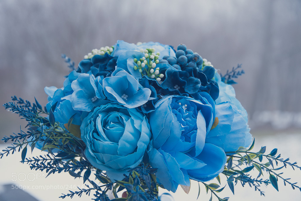 Nikon D500 sample photo. The blue breath photography