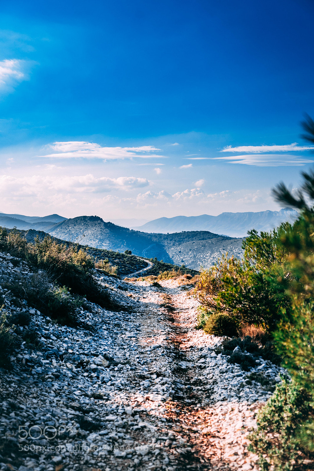 Sony a7 II sample photo. Choose you’re path! photography
