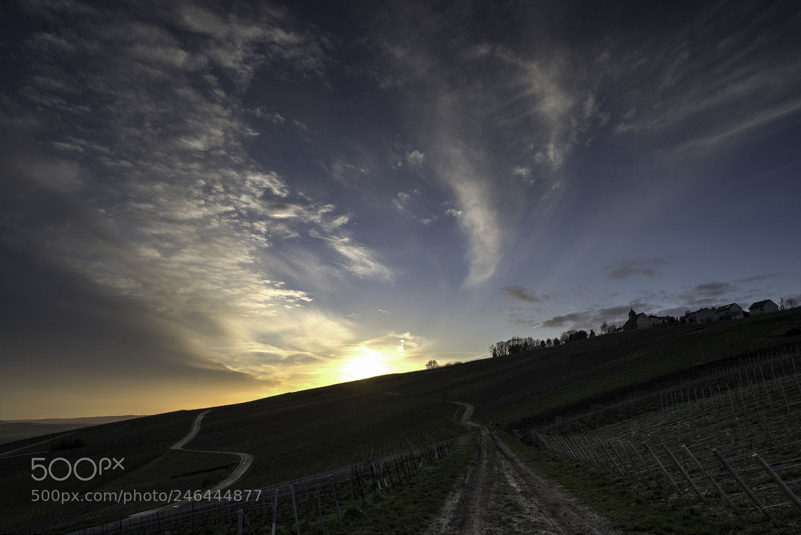 Pentax K-1 sample photo. Road to sunset photography