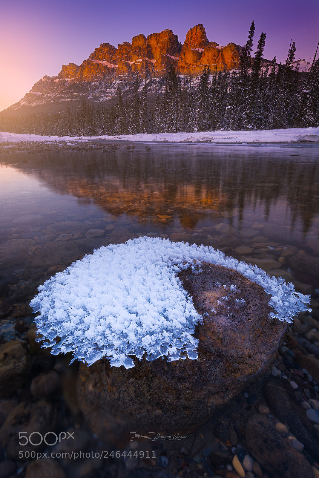 Nikon D810 sample photo. Castle mountain glow photography