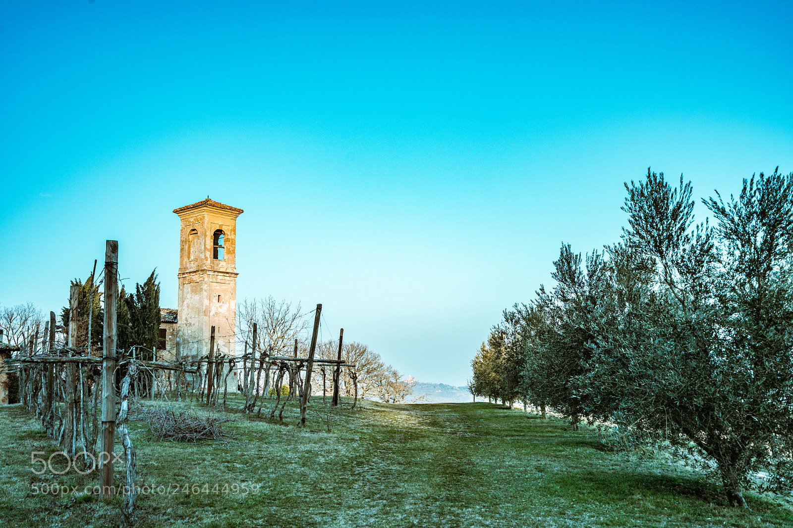 Sony a7R II sample photo. Green winter photography