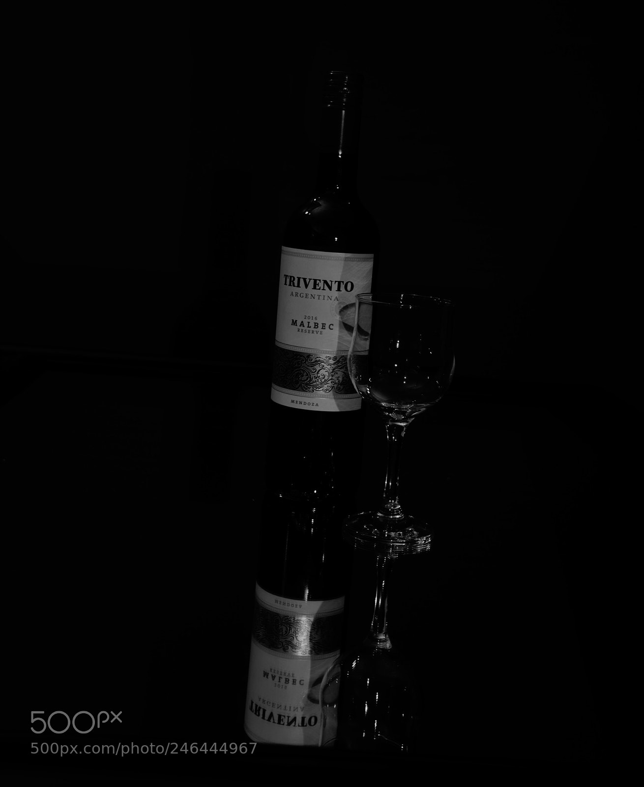 Nikon D850 sample photo. Vine photography