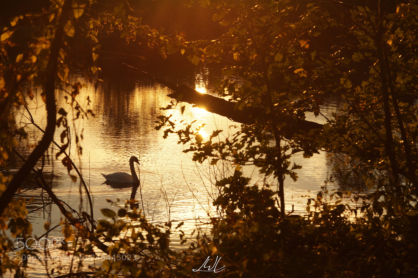 Sony SLT-A58 sample photo. Evening photography