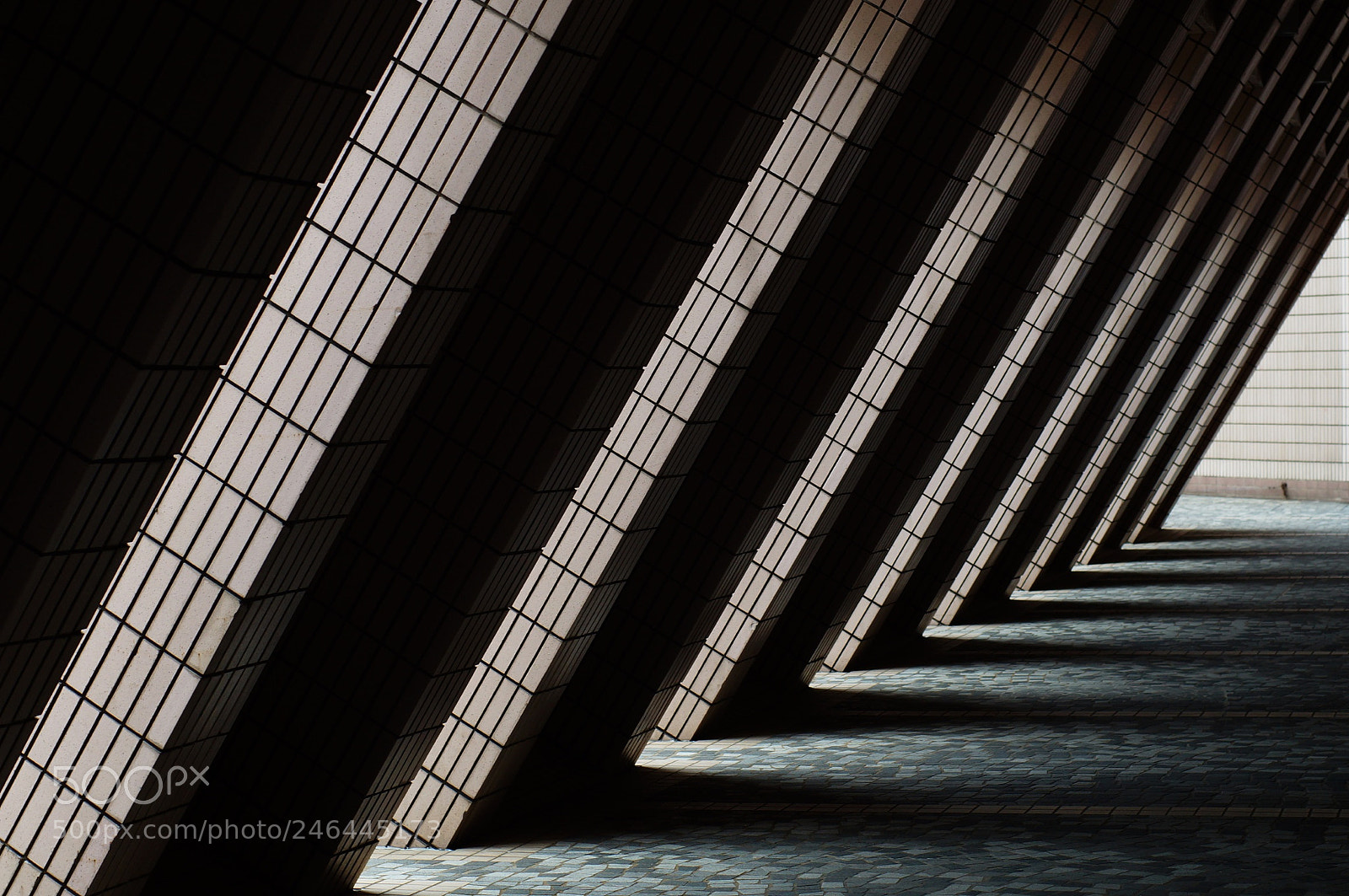 Sony SLT-A57 sample photo. Hong kong photography