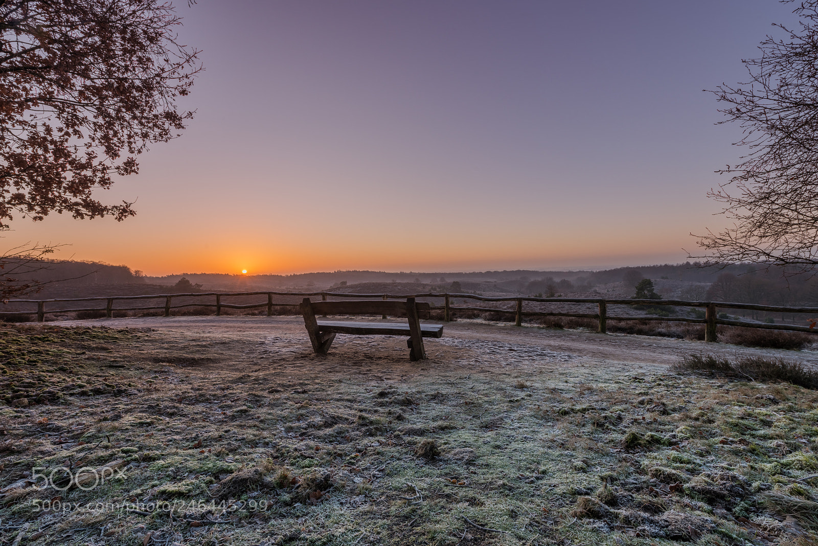 Nikon D810 sample photo. Frozen photography