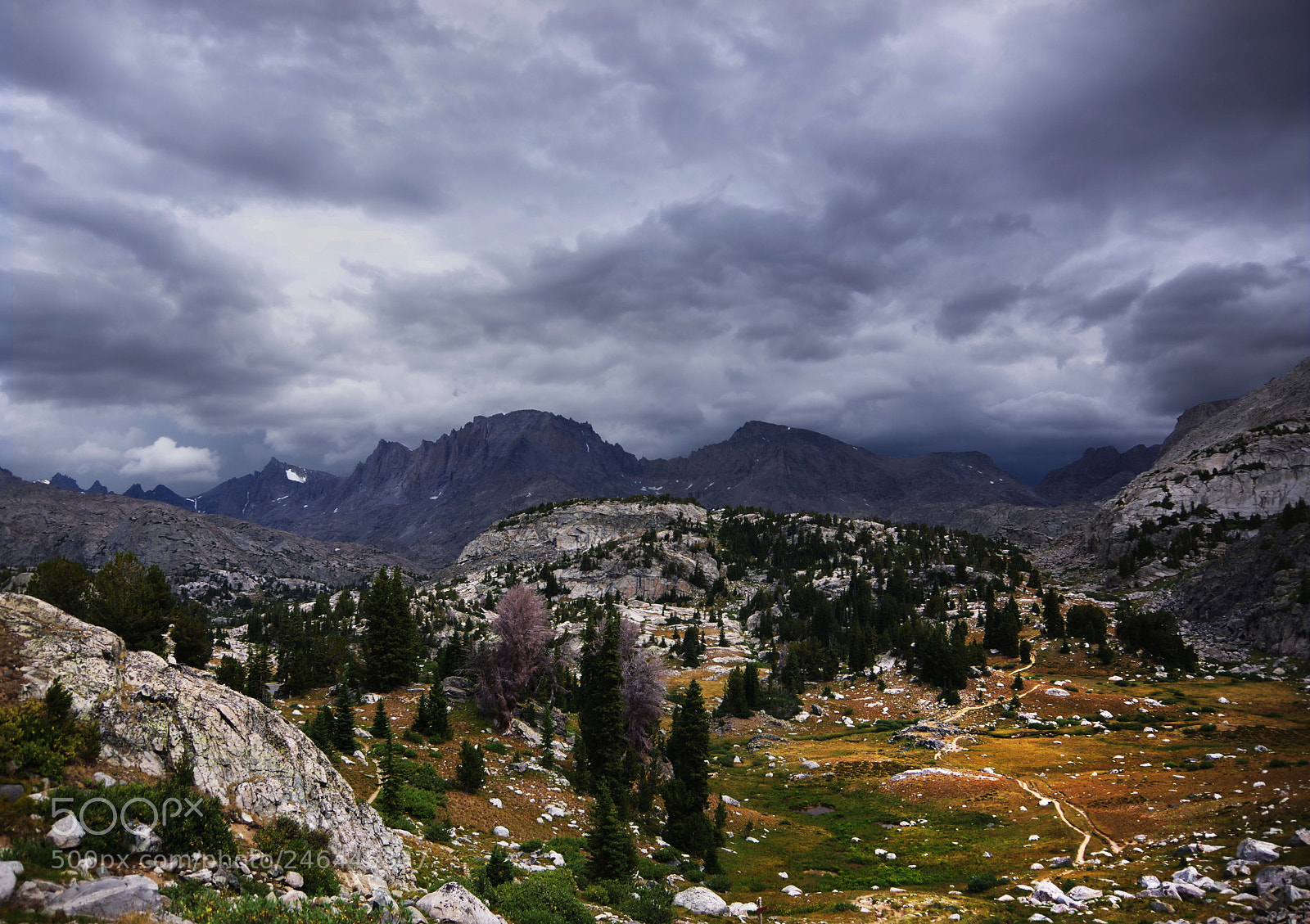 Pentax K-3 II sample photo. Storm in the wind photography