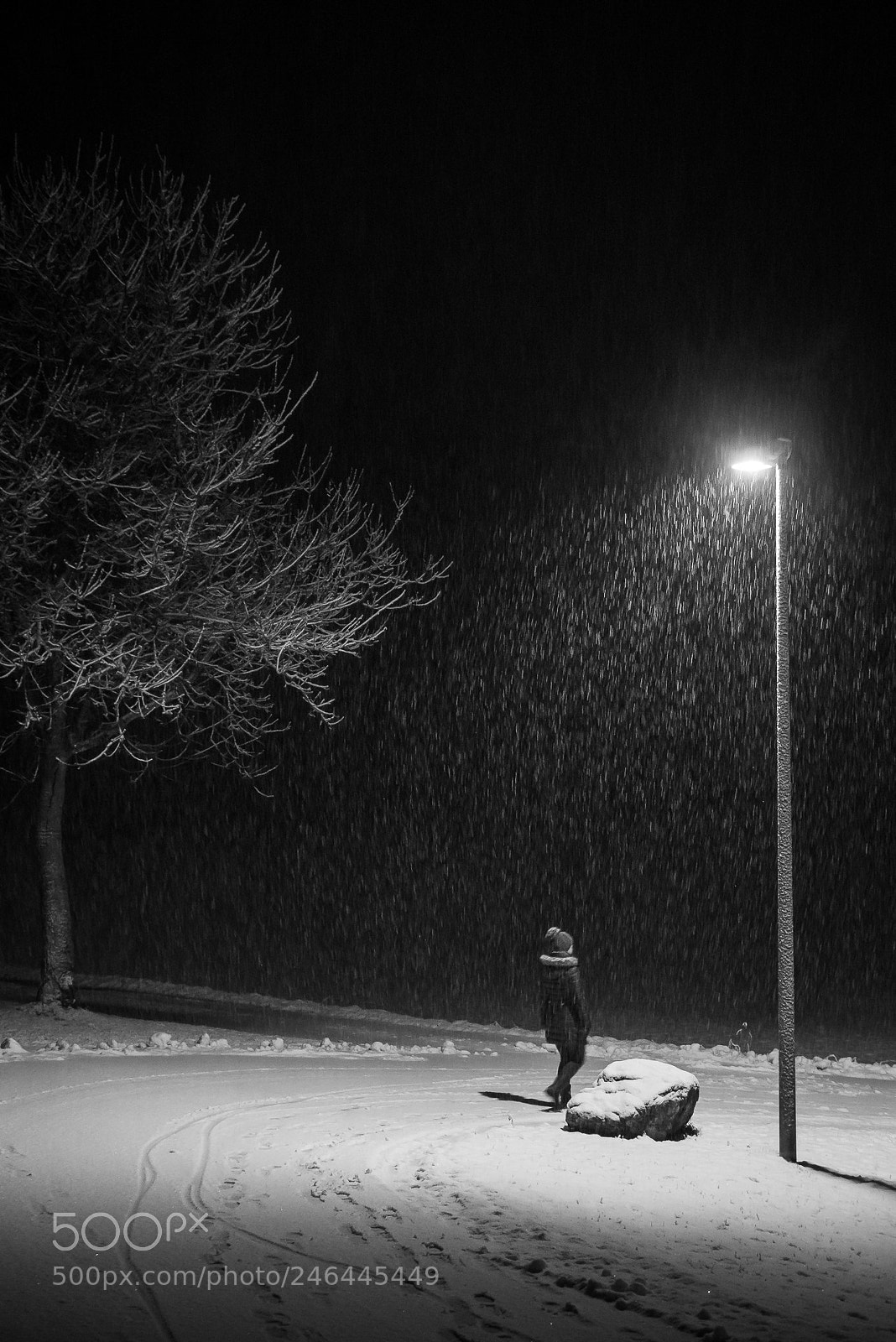 Panasonic Lumix DMC-GX85 (Lumix DMC-GX80 / Lumix DMC-GX7 Mark II) sample photo. Schneegestöber photography