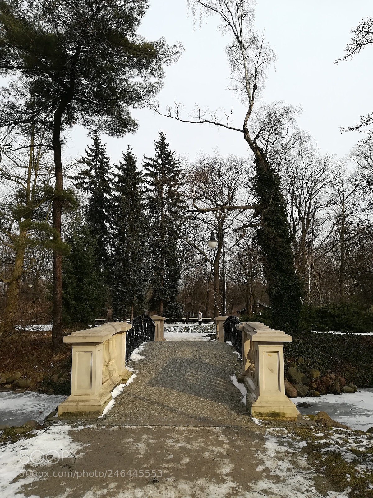 HUAWEI PRA-LX1 sample photo. Untitled photography