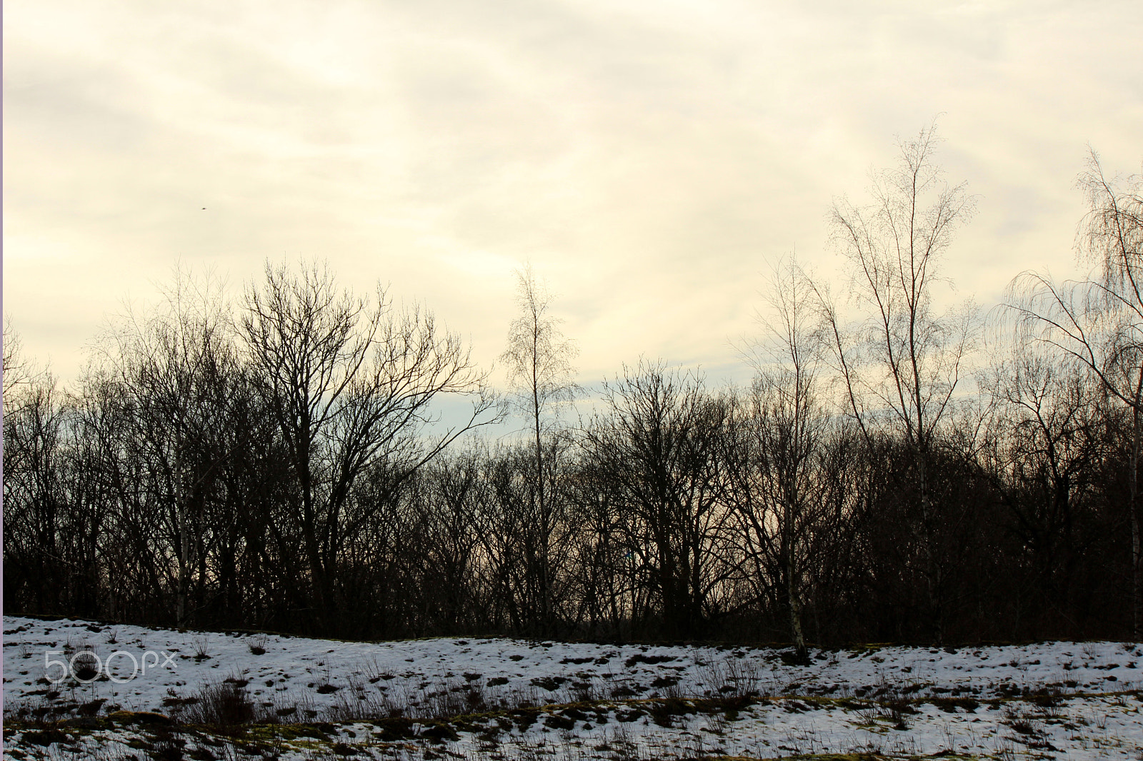 Canon EF-S 55-250mm F4-5.6 IS sample photo. Balade sur le terril photography